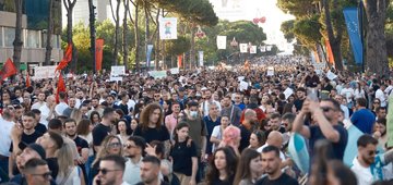 Albania’s flamingo protests: When a government sells off a wetland, it's selling off democracy too