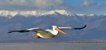 Montenegro adopts Natura 2000 proposal covering half the country
