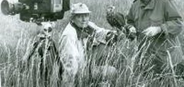 1 июня - День охраны хищных птиц