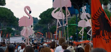Press release: European Parliament backs nature as Albania's Flamingo Protests reaches Strasbourg