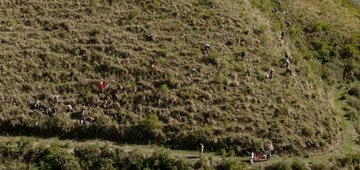 Protecting Bolivia's forest watersheds with sustainable finance