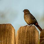 фото