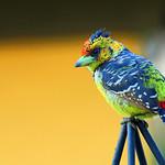 фото