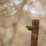 фото
