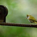 фото