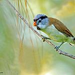фото