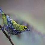 фото
