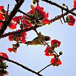 фото