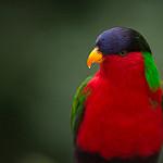 фото