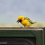 фото