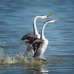 фото
