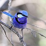 фото