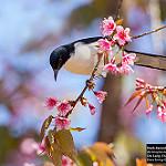 фото
