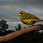 фото
