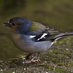 фото
