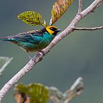 фото