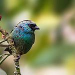 фото