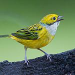 фото