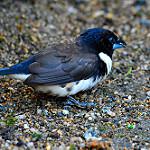 фото
