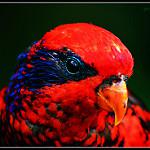 фото