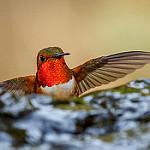 фото