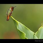 фото