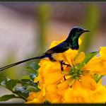 фото