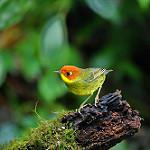 фото