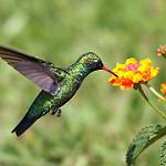 фото