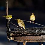 фото