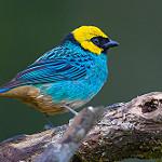 фото