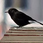 фото