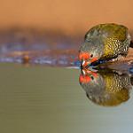 фото