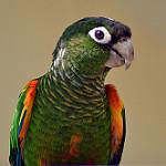фото