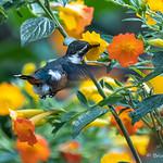 фото