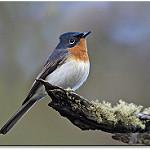 фото