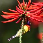 фото
