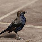 фото