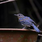 фото