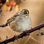 фото