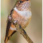 фото