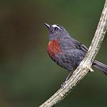 фото
