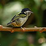 фото