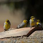фото