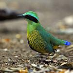 фото