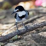 фото