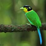 фото