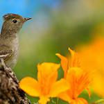 фото