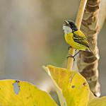 фото