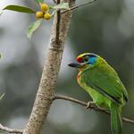 фото